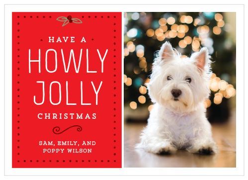 Basic Invite personalized holiday cards